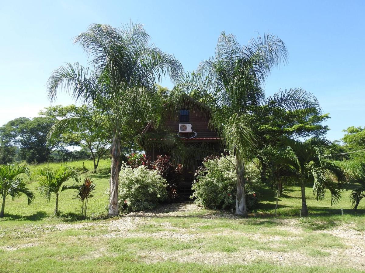 Villa Pilgrims Paradise Cabin 2 à San Ignacio Extérieur photo