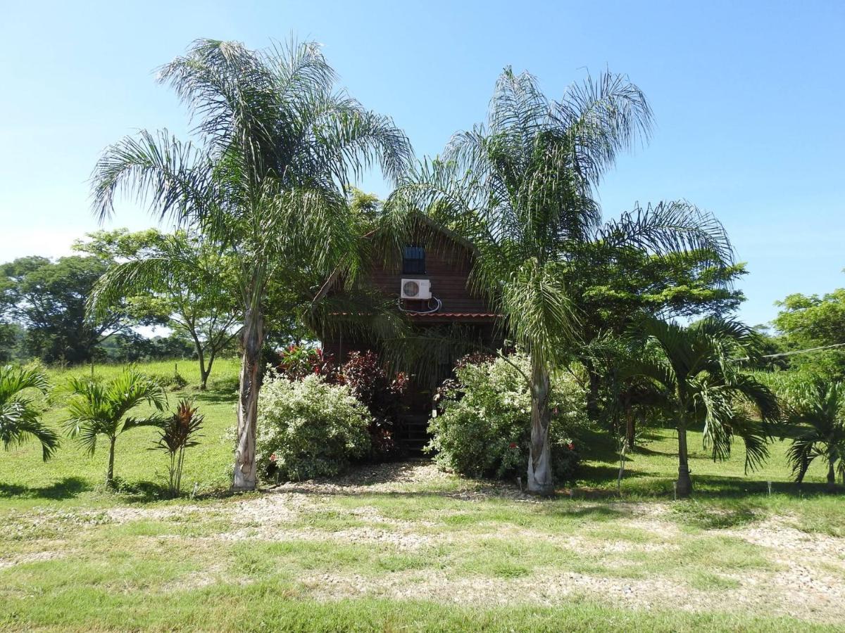 Villa Pilgrims Paradise Cabin 2 à San Ignacio Extérieur photo